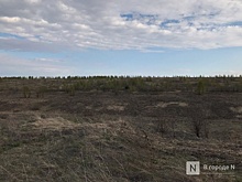 Избыток марганца и цинка в почве выявили в Нижегородской области