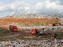 «Большая тройка» предложила свои тарифы на вывоз мусора в Удмуртии