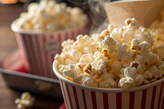 ФСИН: аппараты для попкорна в мордовской ИК были нужны, чтобы занять осужденных