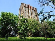 Элитный дом в «заложниках» реновации