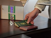 Дайте два: кому и для чего нужно двойное гражданство России и Абхазии