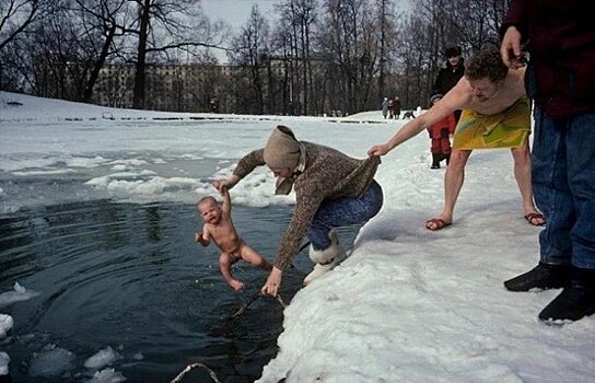 В Казахстане из-за аномальных холодов животные замерзли на ходу