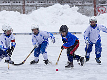 5 хоккейных площадок для детей в Подмосковье