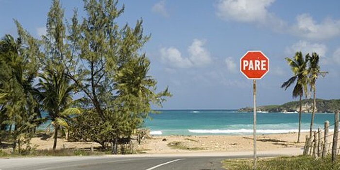 В Доминикане российская туристка погибла, высунувшись из окна автомобиля