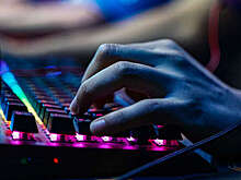 СЕО VK Play Михеев: игровые выставки помогают поддерживать геймерские продукты