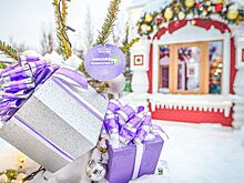 Ледовые шоу и научные мастер-классы пройдут на площадках фестиваля «Путешествие в Рождество»