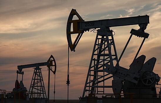 Представитель бундестага призвал ФРГ вернуться к российским нефти и газу