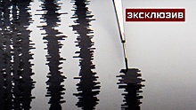 Сейсмолог Шебалин оценил вероятность цунами у берегов России из-за землетрясения на Аляске
