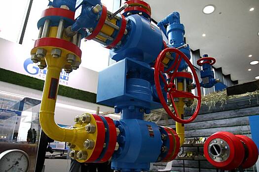 В одной из стран ЕС пожаловались на «тревожный» рост поставок газа из России