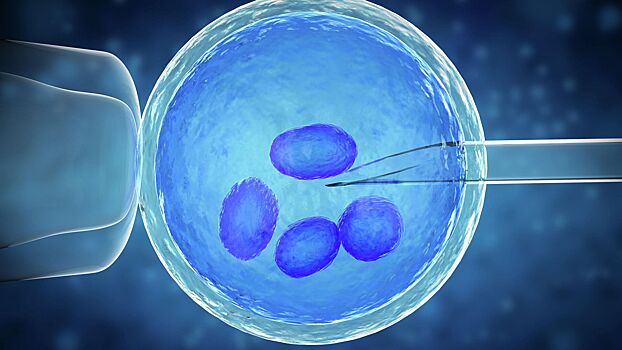 Впервые созданы синтетические эмбрионы