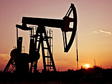Цена на нефть поднялась до $74