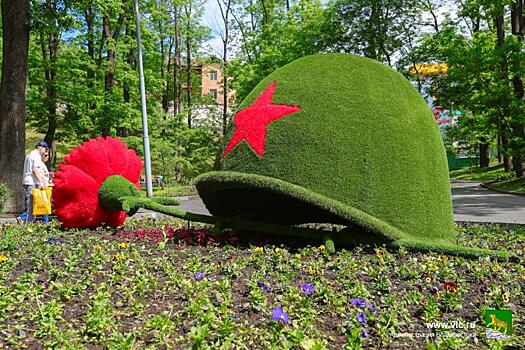 Морские котики, солдатская каска, дерево счастья и другие топиарные фигуры радуют жителей Владивостока