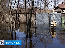 Глава Боброва: «Будем искать пути возмещения ущерба пострадавшим от паводка»