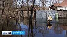 Глава Боброва: «Будем искать пути возмещения ущерба пострадавшим от паводка»