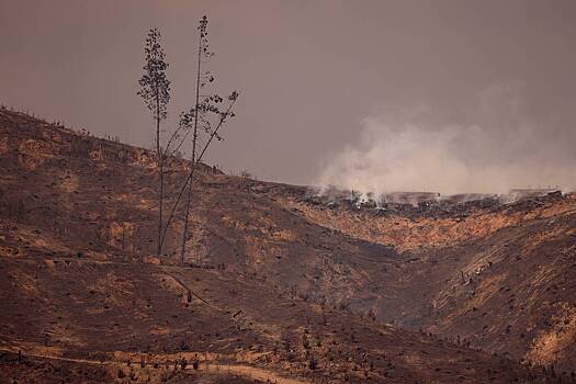 Мощное землетрясение оставило тысячи жителей Чили без света