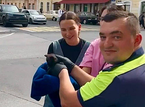 В Петербурге спасли котенка, застрявшего под капотом машины