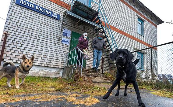 "Почта России" бросает вызов OZON, Wildberries и "Авито"