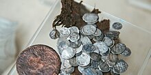 Монетный клад времен Петра I обнаружили в Красносельском районе