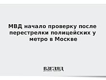 МВД начало проверку после перестрелки полицейских у метро в Москве