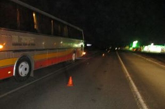 На трассе Оренбург-Самара водитель автобуса насмерть сбил мужчину
