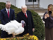 Америка отметит День благодарения