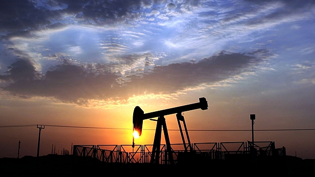 Индия рассмотрит предложение по предельным ценам на нефть из РФ