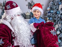 Россияне стали в два раза чаще звать домой Деда Мороза – исследование