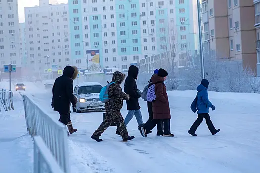 Почему за ошибки пешеходов в Новосибирске почти всегда расплачивается водитель
