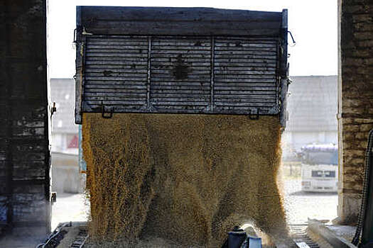Посольство Швейцарии анонсировало выделение €3 млн на вывоз зерна из Украины