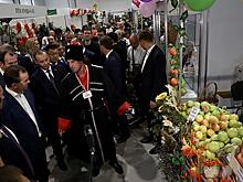 В Краснодаре открылась выставка «Кубанская ярмарка»