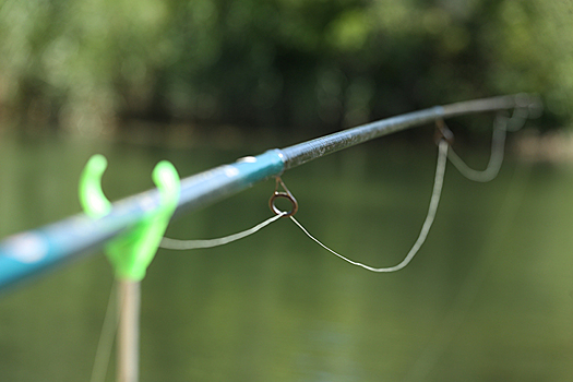 День рыбака-2025: названы самые рыбные места в Новосибирской области