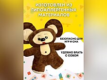 Эксперт предупредила о серьезных рисках при покупке контрафактных чебурашек
