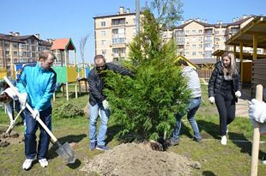 Когда появился Праздник древонасаждения в Ростове-на-Дону?