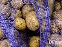 За неделю в Татарстане подешевела большая часть "борщевого набора"