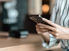 Юрист объяснил, когда крупные переводы себе по СБП могут принять за мошенничество