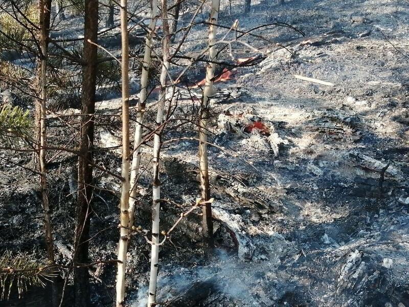 Лесной пожар потушили в районе Забайкалья