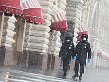 Раскрыты детали получения пропусков для москвичей