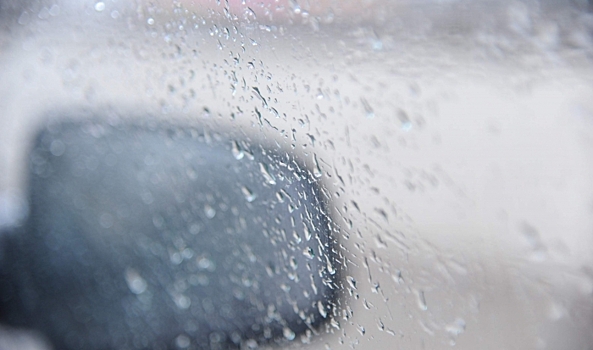 Синоптики предсказали дождь и температуру +5°C в Волгограде 31 декабря