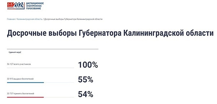 В облизбиркоме разъяснили, как голосовать дистанционно, чтобы электронный бюллетень попал в электронную урну