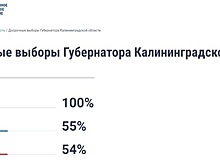 В облизбиркоме разъяснили, как голосовать дистанционно, чтобы электронный бюллетень попал в электронную урну