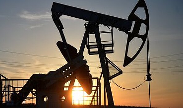 Среднегодовая цена на нефть Urals выросла на 25,6%