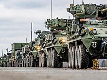 Forbes: Пентагон перебрасывает под Курск 200 броневиков Stryker, чтобы остановить северокорейскую пехоту