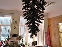 В Омске родители прибили елку к потолку в одном из детсадов
