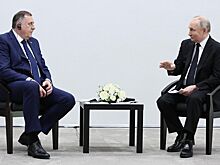 Додик рассказал, о чем попросил Путина