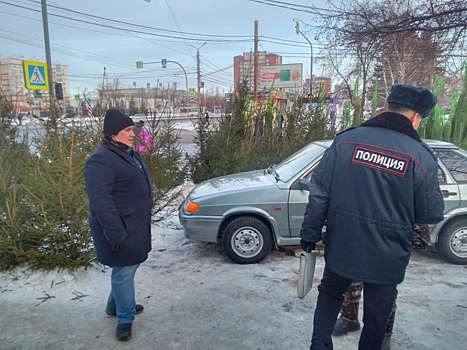 В Челябинске продолжает процветать незаконная торговля елками