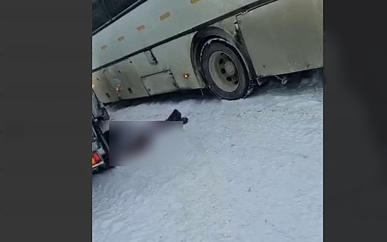 В Благовещенске мусоровоз насмерть задавил девушку, в Свободном тоже погиб пешеход