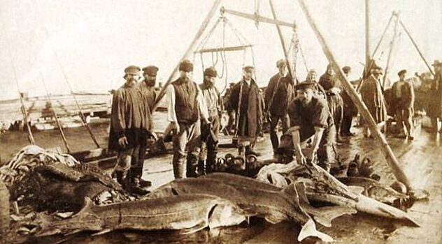 Какие пищевые табу существовали на Руси