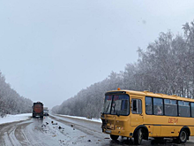 Фура протаранила автобус с детьми в Нижегородской области