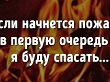Тест: Узнайте животное по глазам