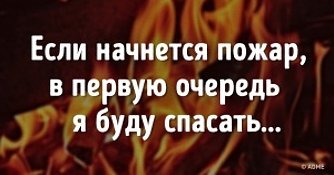 Тест: Узнайте животное по глазам